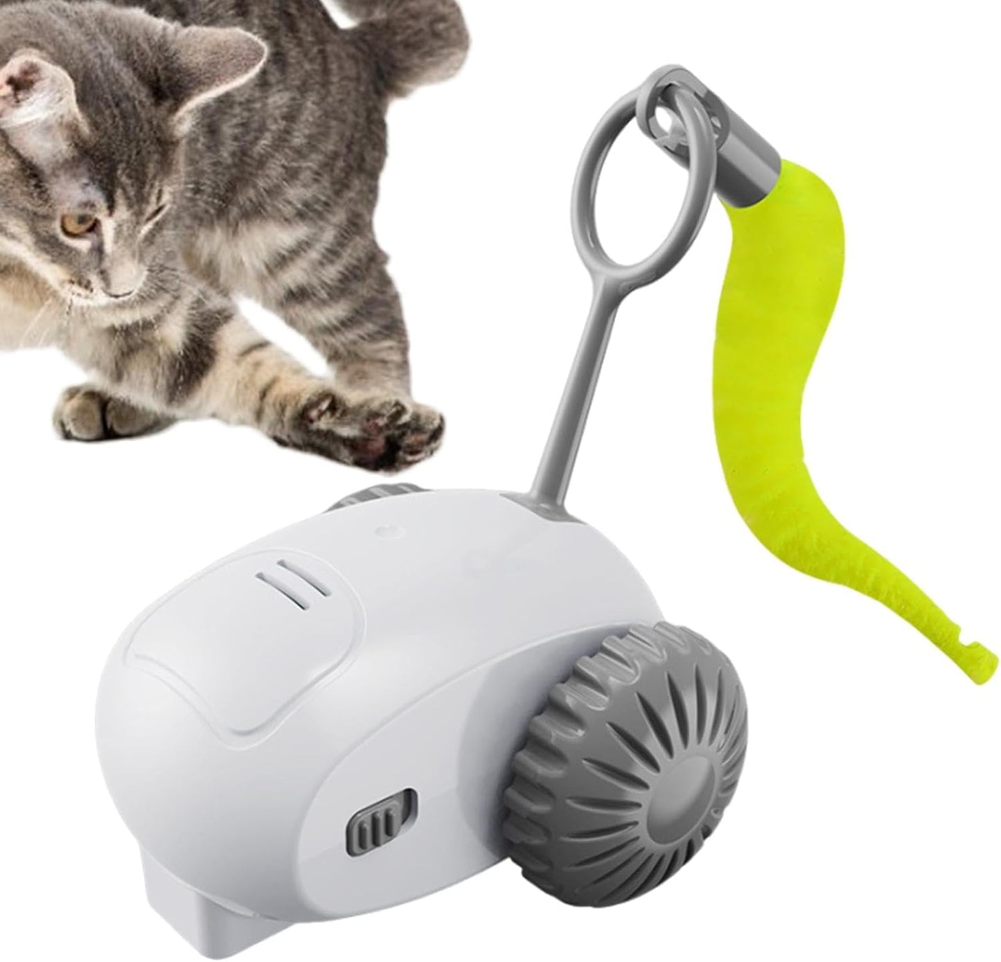 Mastershop Product Image