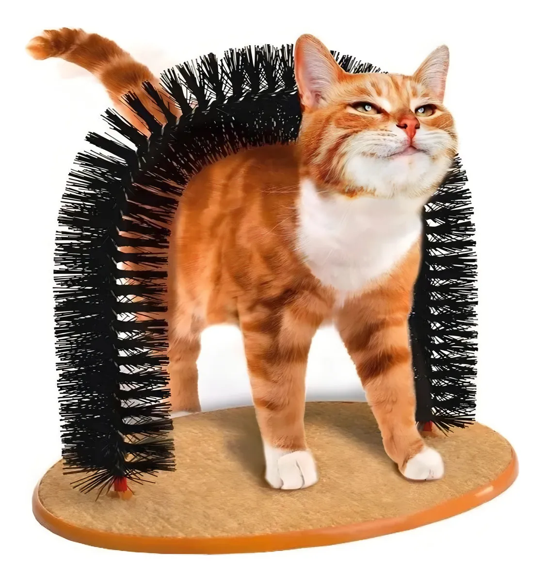 Mastershop Product Image