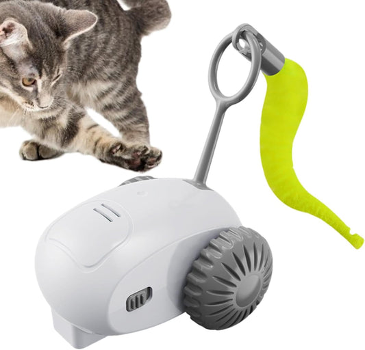 Mastershop Product Image