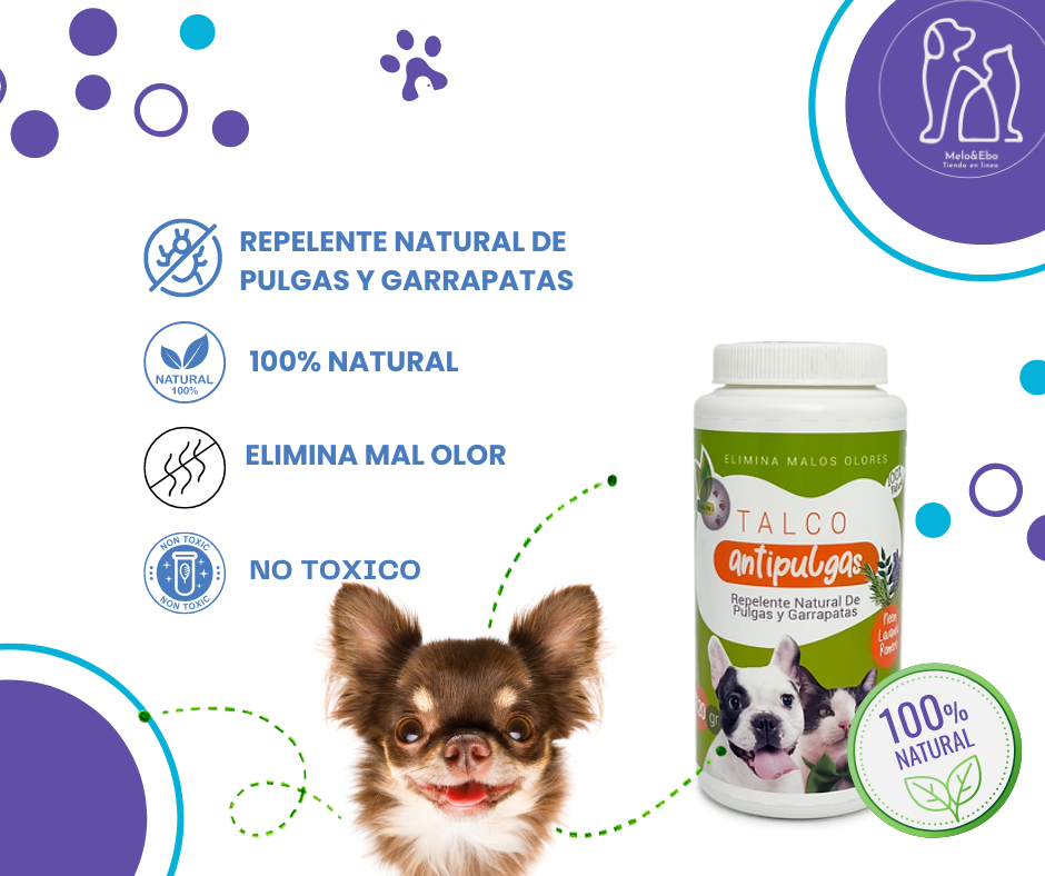 Mastershop Product Image