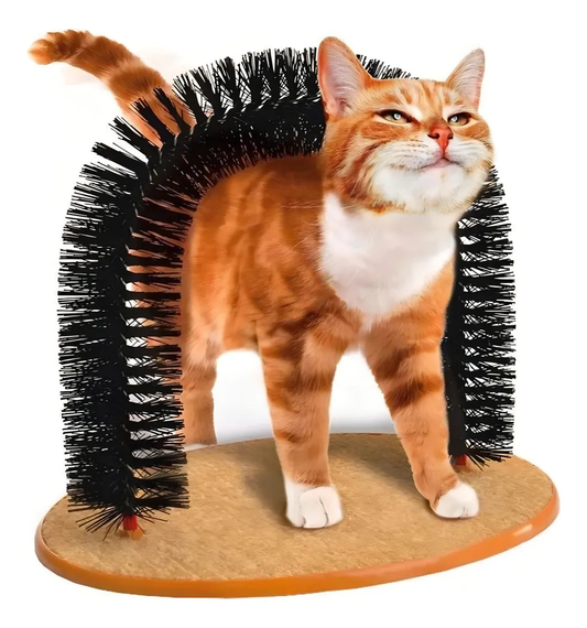 Mastershop Product Image