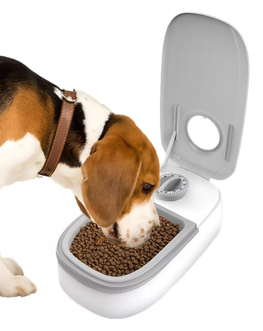 Mastershop Product Image