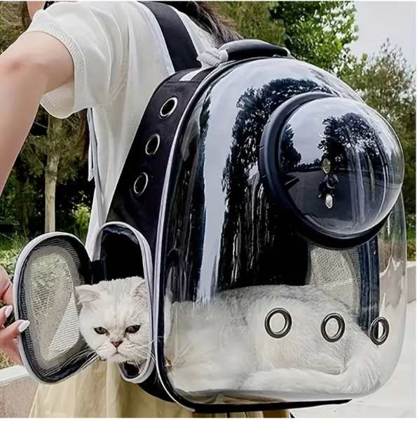 Mastershop Product Image